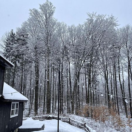 Forest Mountain Escape- Beautiful Mountaintop Escape In Mendon, Vt, 20 Min To Killington 14 To Pico, Home Kültér fotó