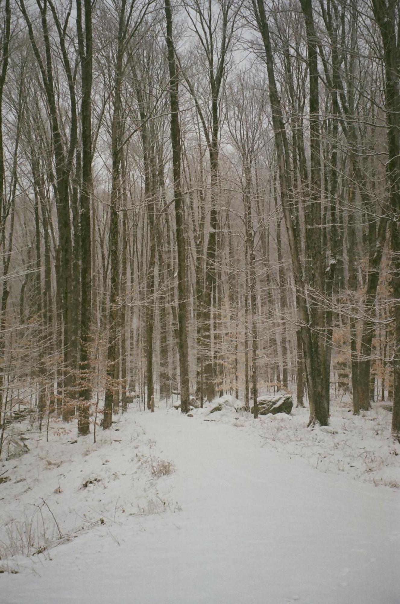 Forest Mountain Escape- Beautiful Mountaintop Escape In Mendon, Vt, 20 Min To Killington 14 To Pico, Home Kültér fotó